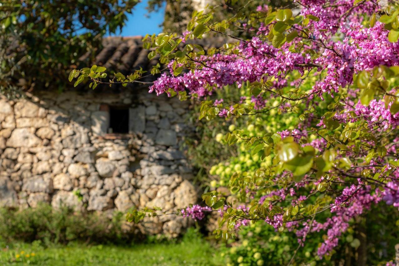 La Maison De Yuka Plieux Exteriér fotografie